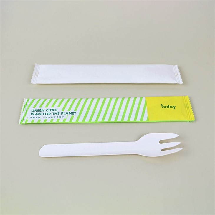 Paper Tableware