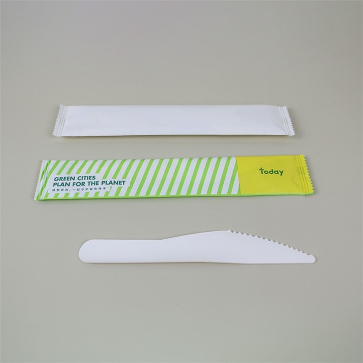 Paper Tableware